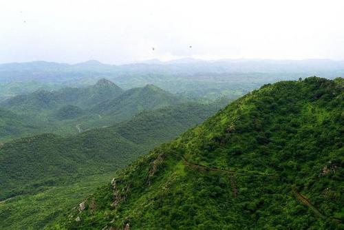 The lush Aravalli range of Rajasthan over a decade ago. Photo by Nataraja/Wikimedia Commons.