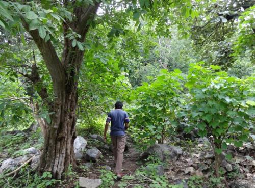 Diversion of forest land is one of the biggest concerns for villagers dependent on forests.