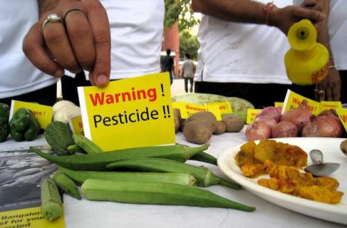 Pesticide residues in food commodities is an important food safety issue. Source: GOI Monitor 