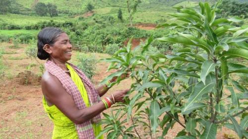 Women farmers have led to the wave of change in Kashipur with organic farming.