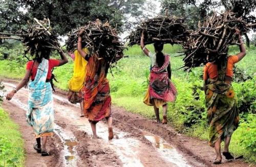 Village women carrying fuelwood back to their homes. Around 26 per cent rural women are engaged in some economic activity. Source: GOI Monitor