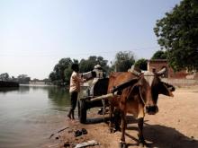 Small ox-driven tankers offer home delivery of water from Lakholaav pond. Source: GOI Monitor