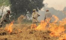 Farmers burning straw in Punjab. Source: Neil Palmer Wikimedia Commons